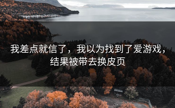 我差点就信了,我以为找到了爱游戏,结果被带去换皮页 我差点就信了,我以为找到了爱游戏,结果被带去换皮页